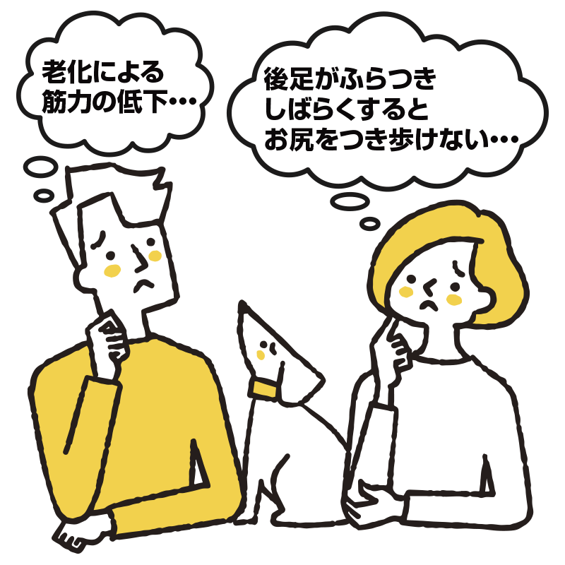 愛犬が歩けない