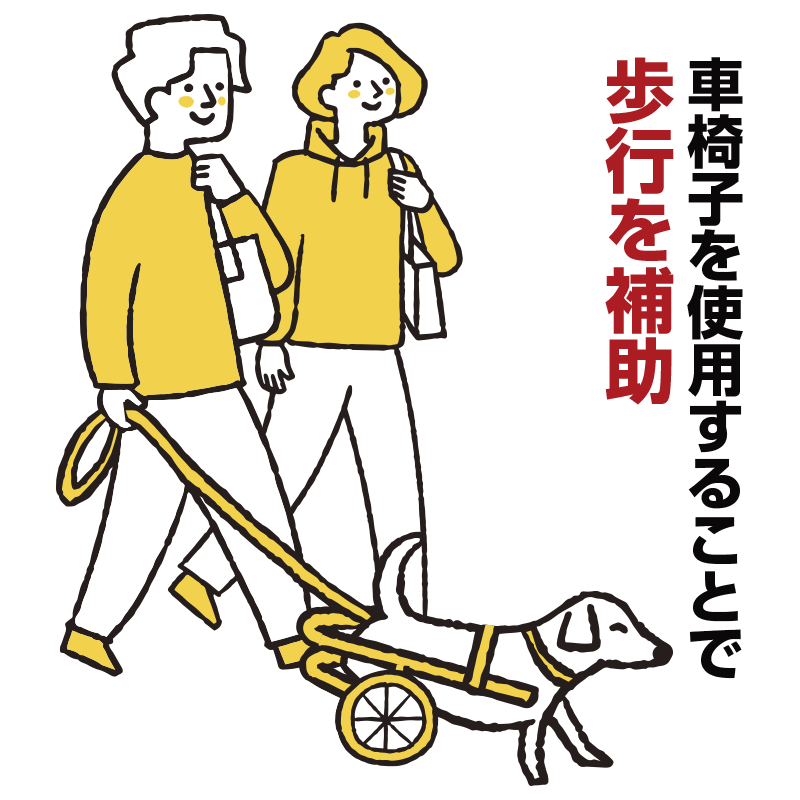 犬用椅子（歩行器）・猫用車椅子（歩行器）｜歩犬舎